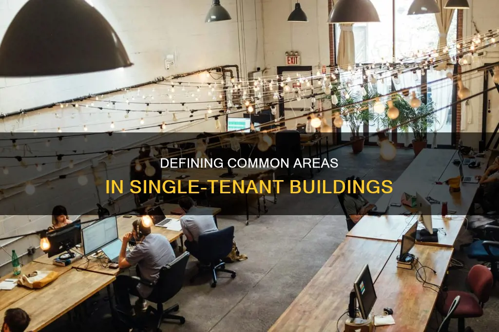 what constitutes a common area in a single tenant building