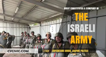 Israel's Army: What Makes a Company?