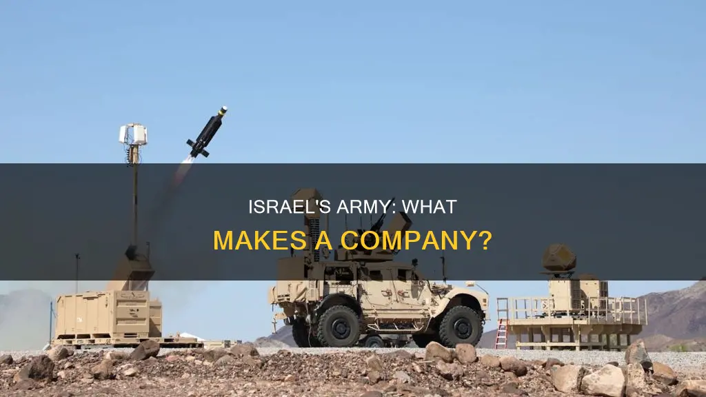 what constitutes a company in the israeli army