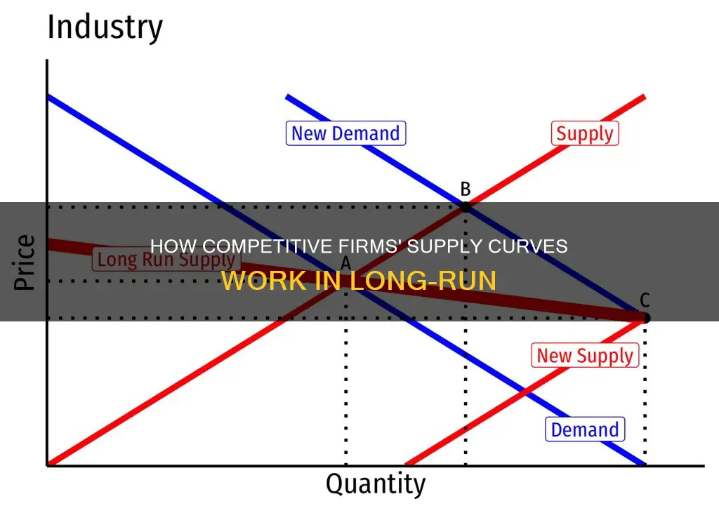 what constitutes a competitive firm