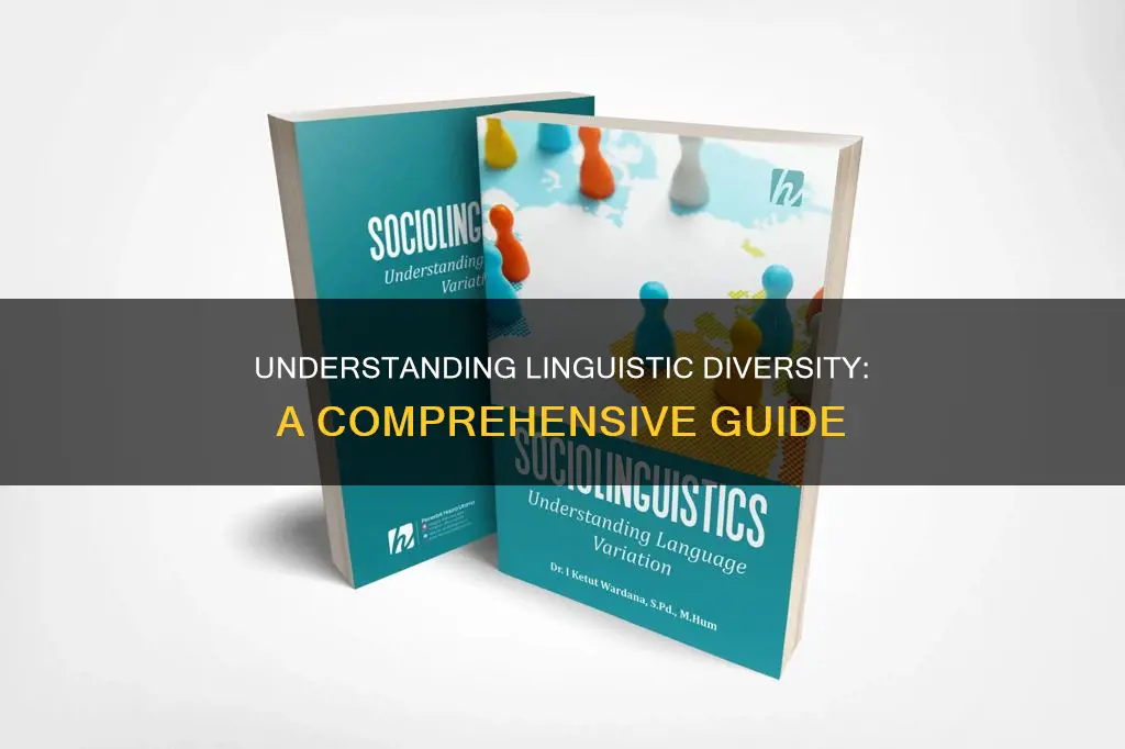 what constitutes a comprehensive understanding of linguistic differences