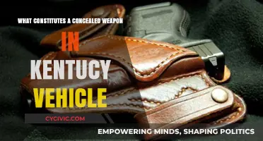 Kentucky's Vehicle Concealed Weapon Laws: What You Need to Know