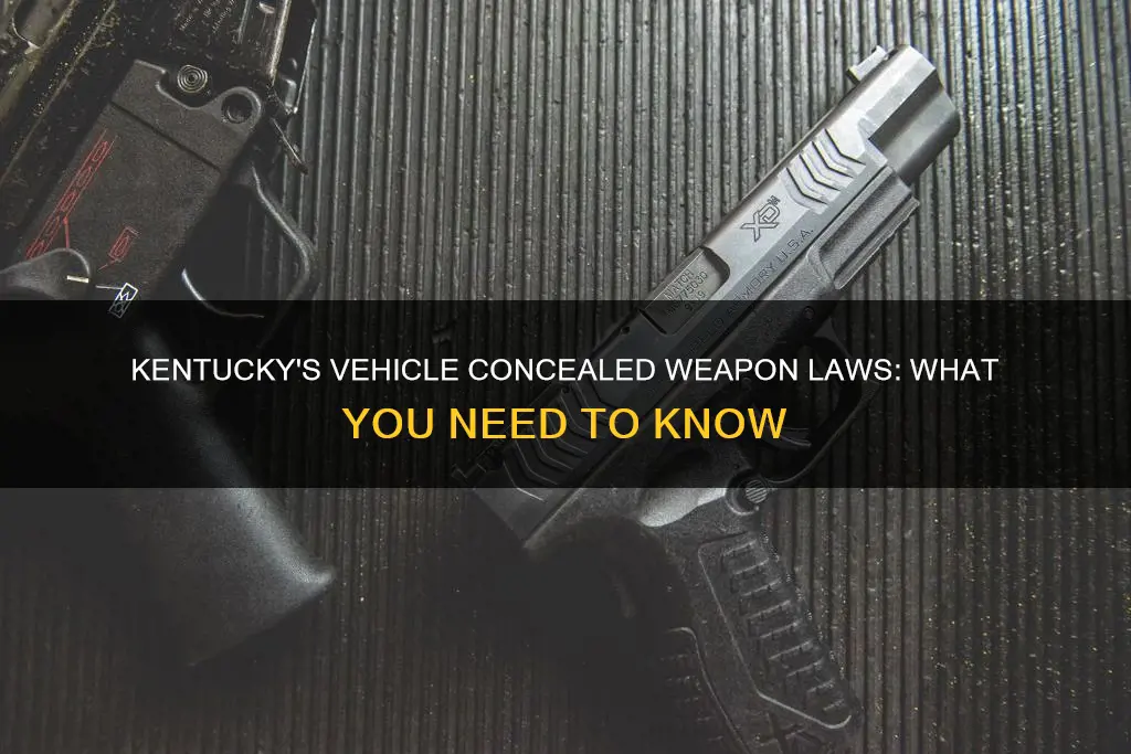 what constitutes a concealed weapon in kentucy vehicle