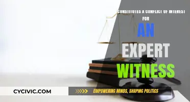 Expert Witness: Conflicts of Interest and Their Boundaries