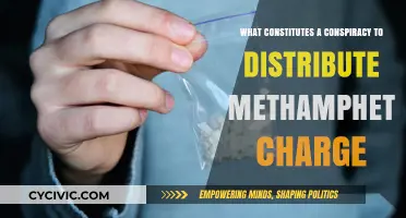 Meth Distribution Conspiracy: Understanding the Charge