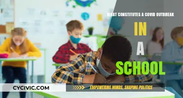 Understanding COVID Outbreaks in Schools
