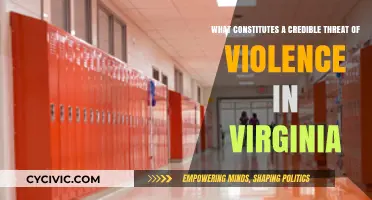 Understanding Virginia's Definition of Credible Threat of Violence