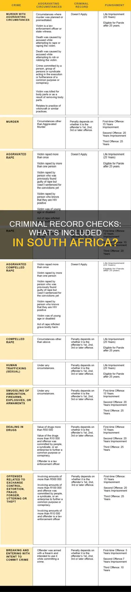 what constitutes a criminal record in south africa