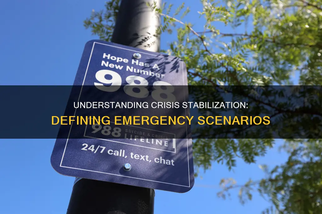 what constitutes a crisis situation for a crisis stabilization unit