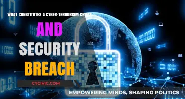 Understanding Cyber-Terrorism: Crime and Security Breaches