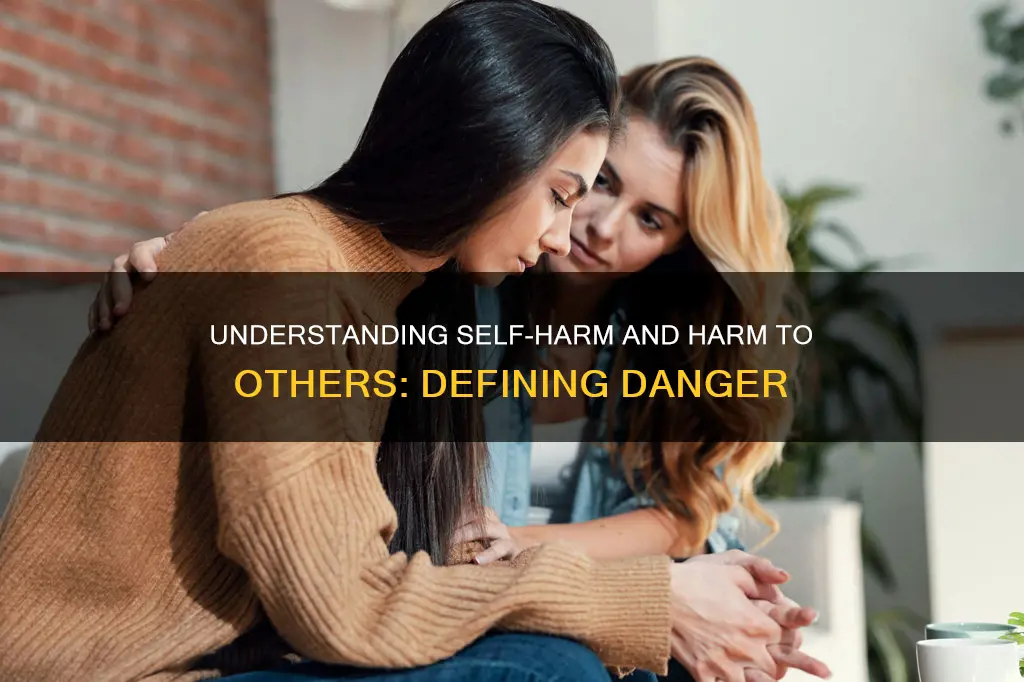 what constitutes a danger to self or others