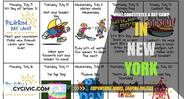 Day Camps in New York: What You Need to Know