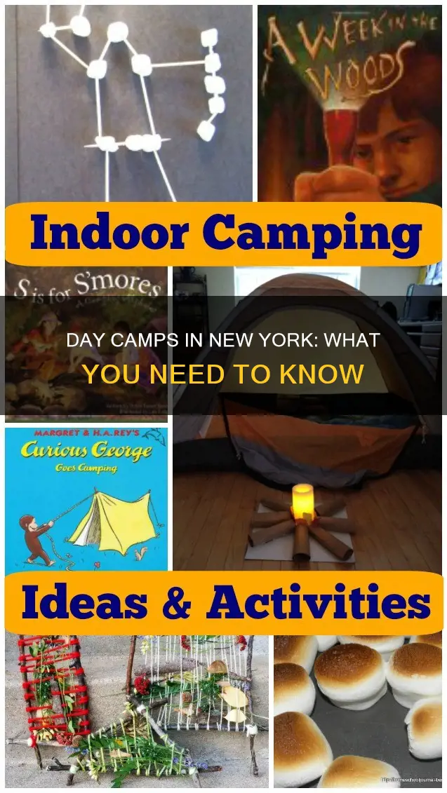 what constitutes a day camp in new york