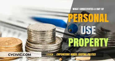 Personal Property Use: What Counts as a Day?