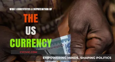 The US Currency Depreciation: What Are the Causes?