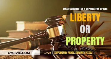 Understanding Deprivation: Life, Liberty, and Property