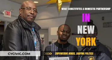 Understanding Domestic Partnerships in New York State