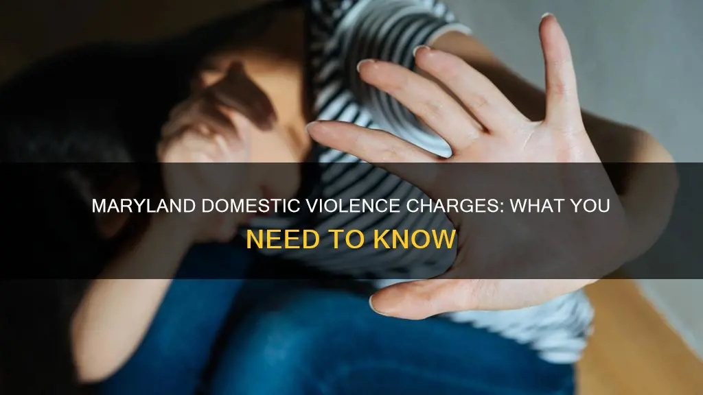 what constitutes a domestic violence charge in maryland