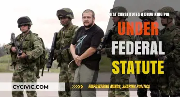 Who Is a Drug Kingpin? Federal Statutes Define Them