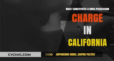 Understanding Drug Possession Charges in California