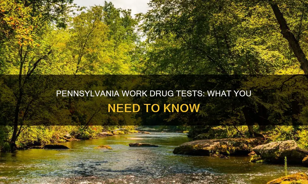 what constitutes a drug test at work pennsylvania