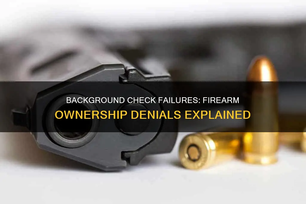 what constitutes a failed background check for firearms