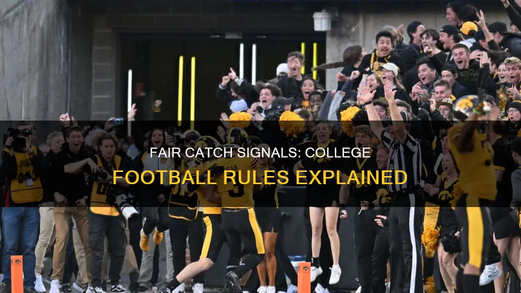 what constitutes a fair catch signal in college football