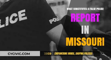 False Police Reports: Missouri Law Explained