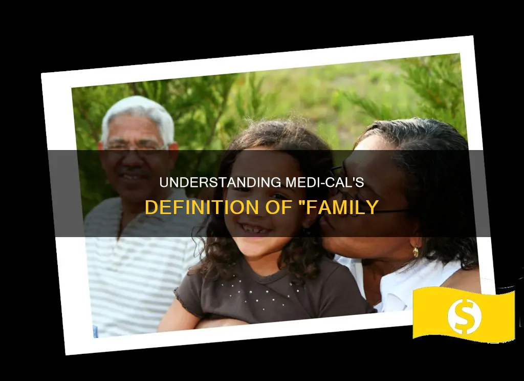 what constitutes a family for medi-cal purposes