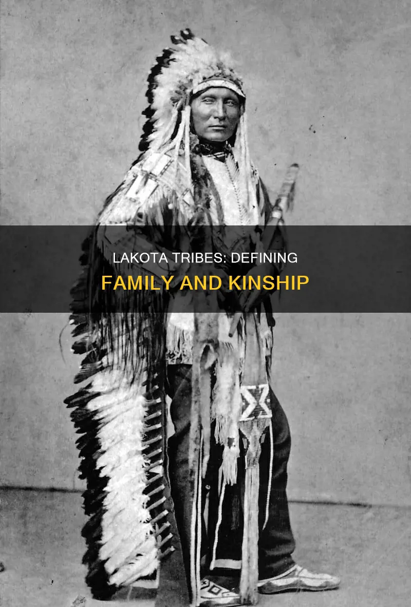 what constitutes a family in the lakota tribes