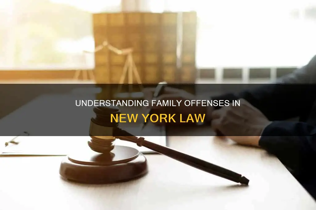what constitutes a family offense in new york