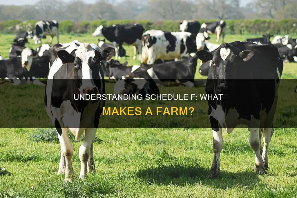 what constitutes a farm for schedule f purposes