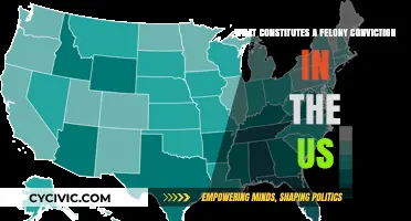 Felony Conviction: Understanding the US Legal System
