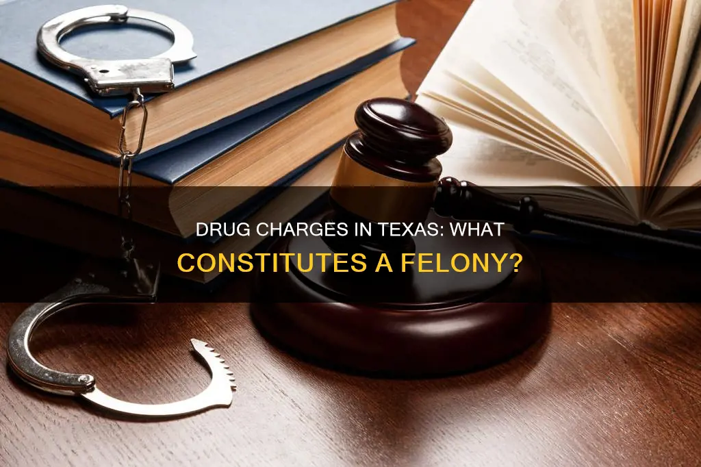 what constitutes a felony drug charge in texas