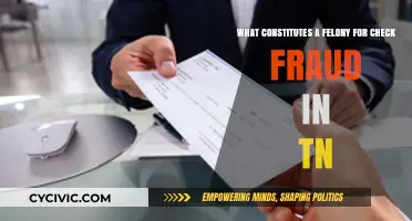 Check Fraud: Understanding Felony Charges in Tennessee