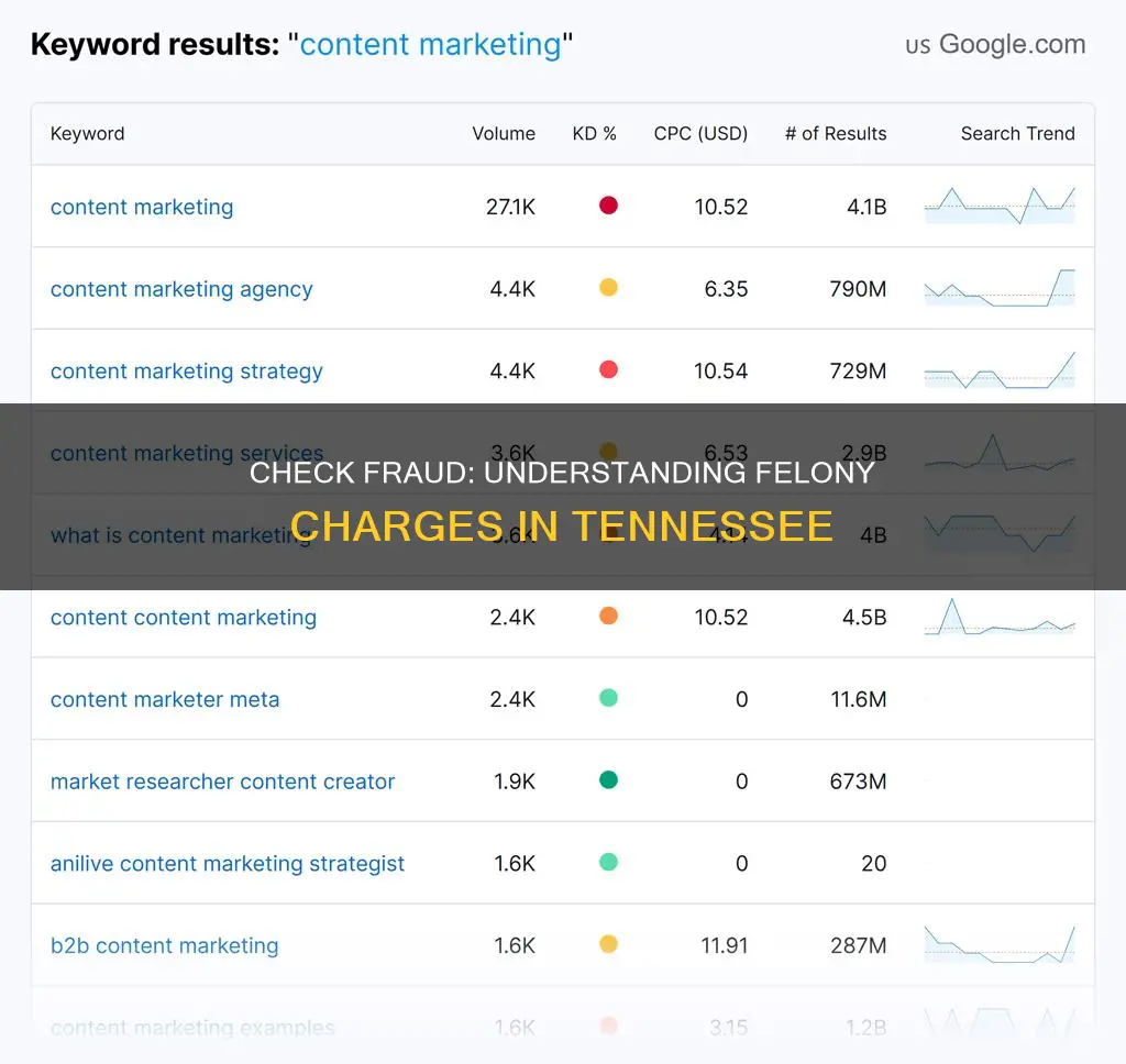 what constitutes a felony for check fraud in tn