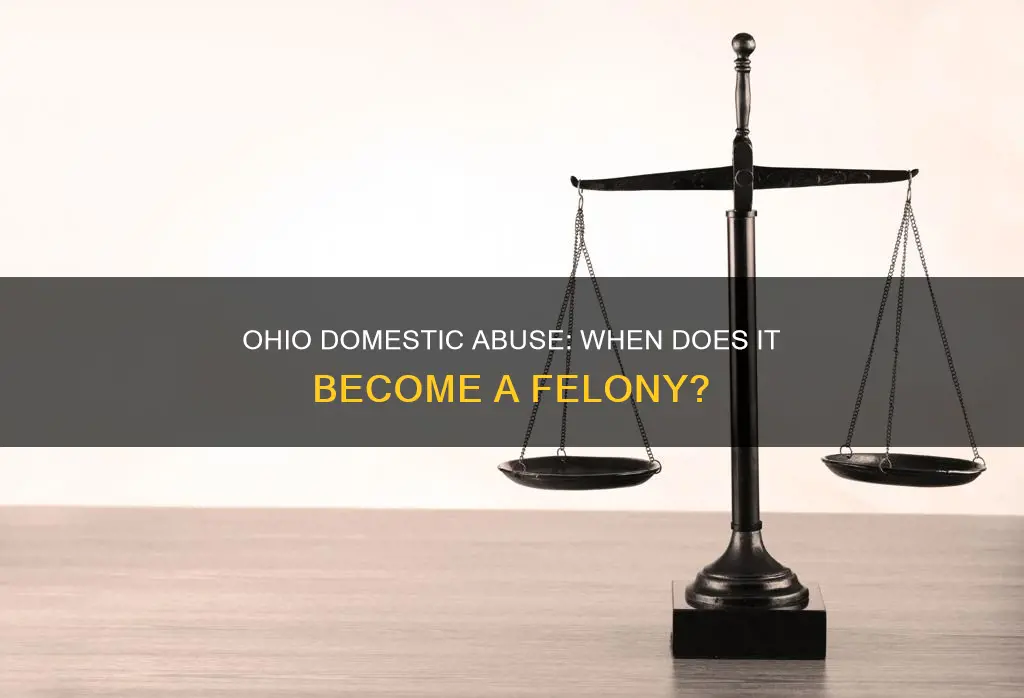 what constitutes a felony for domestic abuse in ohio