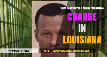 Louisiana's Felony Terrorizing Charge: Understanding the Law