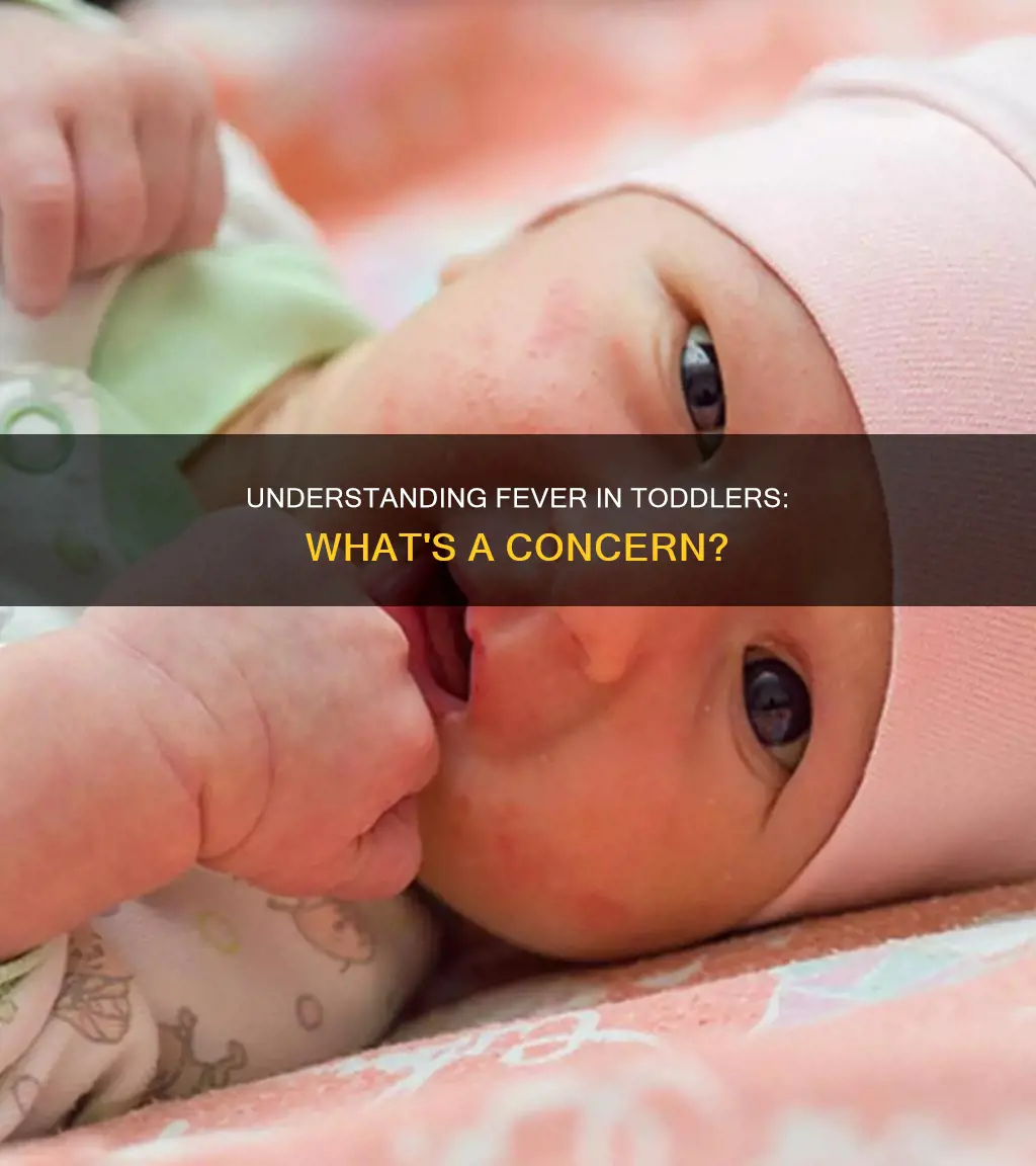 what constitutes a fever in a 4 year old toddler