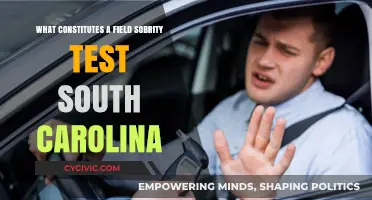 South Carolina Field Sobriety Test: What's Involved?