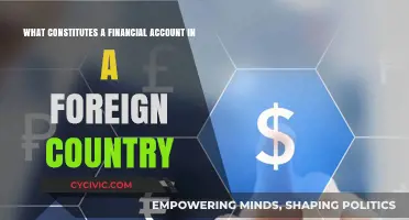 Foreign Financial Accounts: What Counts?