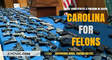 Firearm Possession and the Law in South Carolina