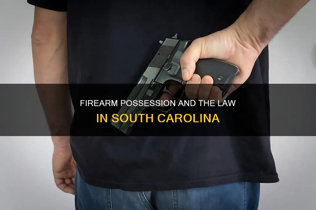 what constitutes a firearm in south carolina for felons