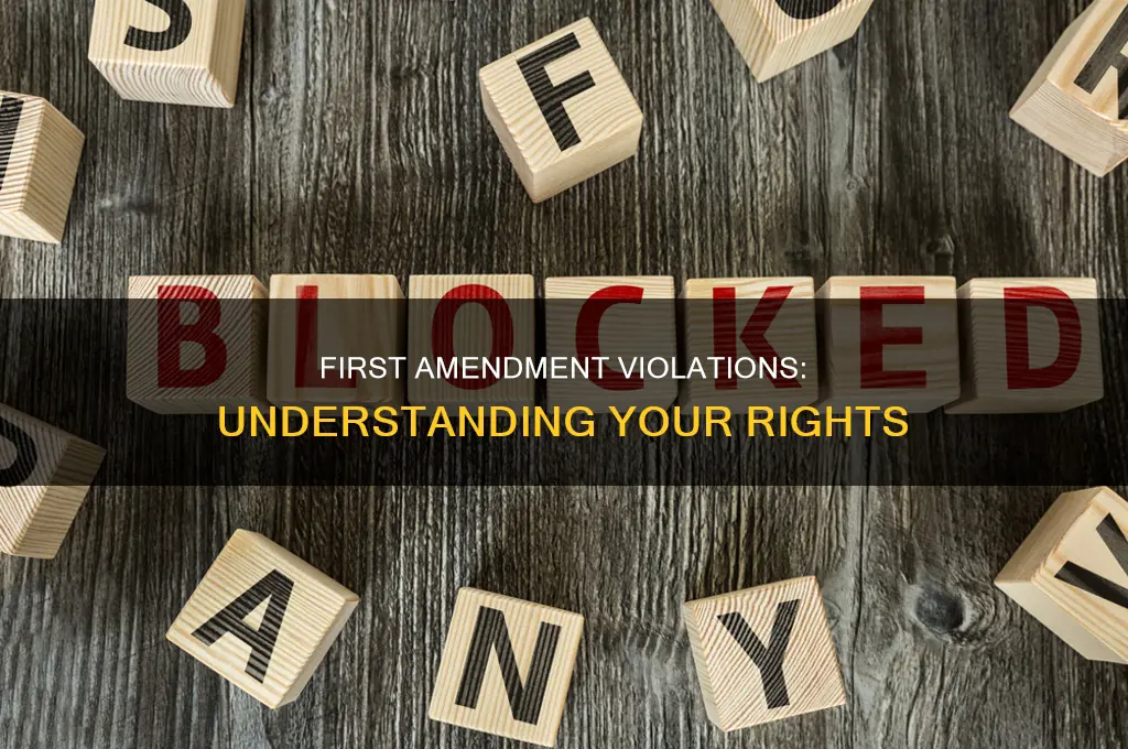 what constitutes a first amendment violation
