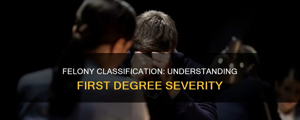 what constitutes a first degree felony