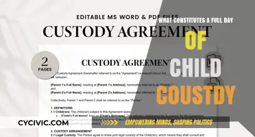 Understanding Child Custody: A Full Day Defined