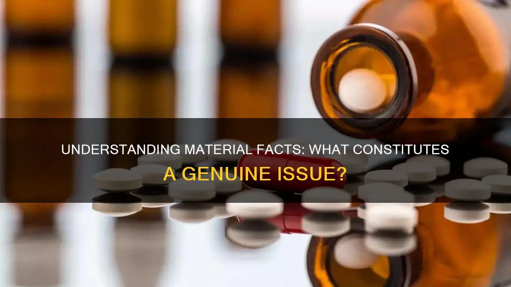 what constitutes a genuine issue of material fact