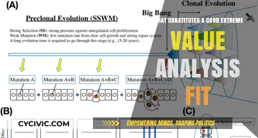 Extreme Value Analysis: Assessing the Quality of Fit