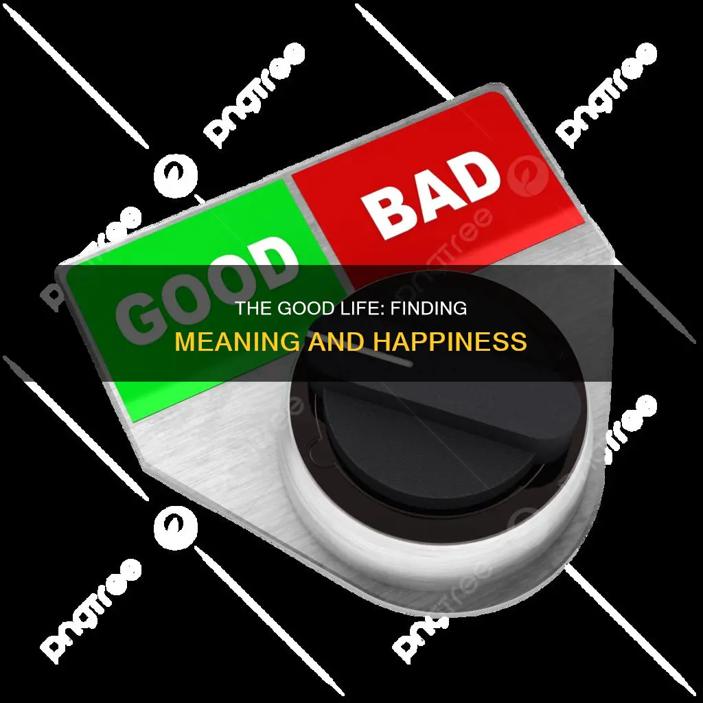 what constitutes a good life vs a bad life