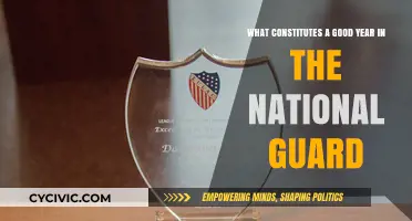 National Guard: Defining a Successful Year